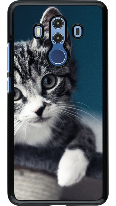 Hülle Huawei Mate 10 Pro - Meow 23