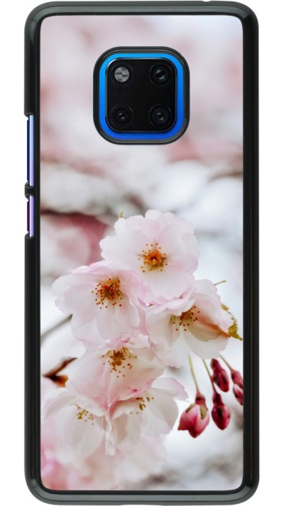 Coque Huawei Mate 20 Pro - Cherry tree Spring 2026