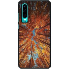 Huawei P30 Case Hülle - Autumn 25 Trees