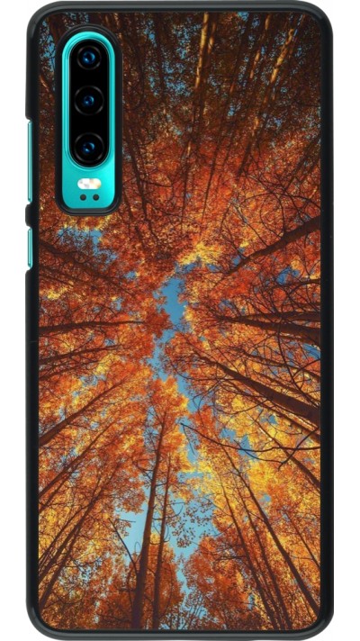 Coque Huawei P30 - Autumn 25 Trees