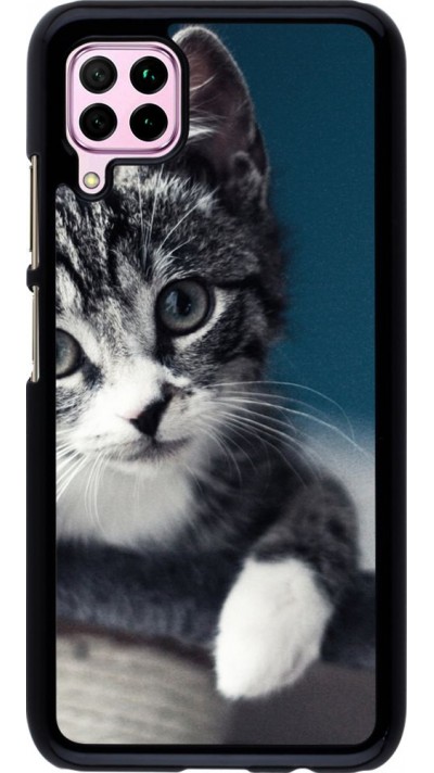 Hülle Huawei P40 Lite - Meow 23