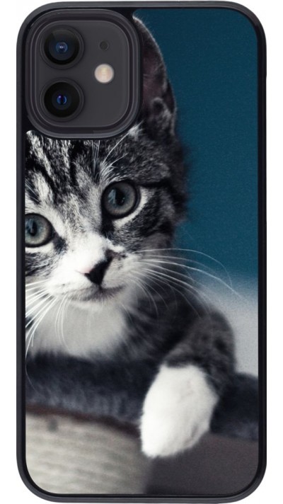 Hülle iPhone 12 mini - Meow 23