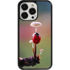 iPhone 13 Pro Case Hülle - Ladybird on a mushroom Spring 2026