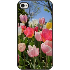 iPhone 4/4s Case Hülle - Tulips 2026