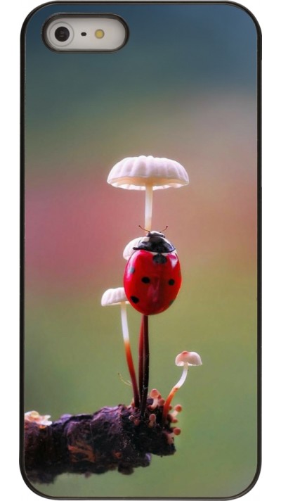 iPhone 5/5s / SE (2016) Case Hülle - Ladybird on a mushroom 2026
