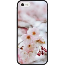 iPhone 5/5s / SE (2016) Case Hülle - Silikon schwarz Cherry tree 2026