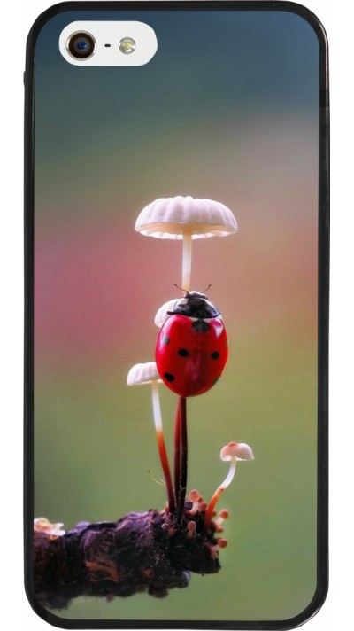 iPhone 5/5s / SE (2016) Case Hülle - Silikon schwarz Ladybird on a mushroom Spring 2026