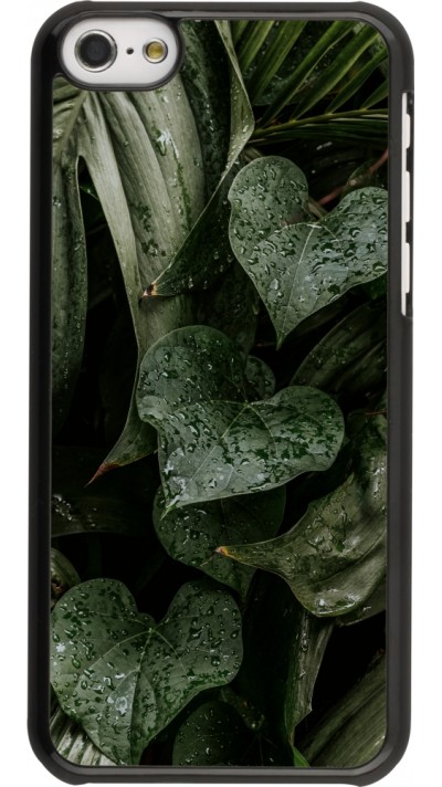 iPhone 5c Case Hülle - Spring 23 fresh plants