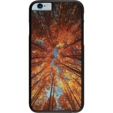 iPhone 6/6s Case Hülle - Autumn 25 Trees