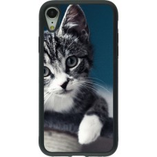 Coque iPhone XR - Silicone rigide noir Meow 23