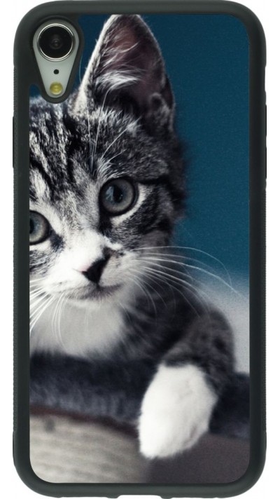 Coque iPhone XR - Silicone rigide noir Meow 23