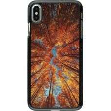iPhone Xs Max Case Hülle - Autumn 25 Trees