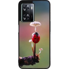 OPPO A57 5G Case Hülle - Silikon schwarz Ladybird on a mushroom Spring 2026
