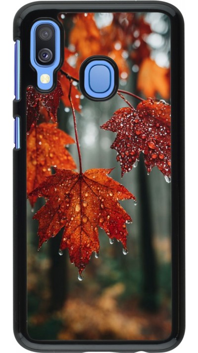 Coque Samsung Galaxy A40 - Autumn 25 Rain