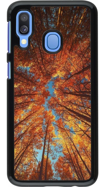 Coque Samsung Galaxy A40 - Autumn 25 Trees