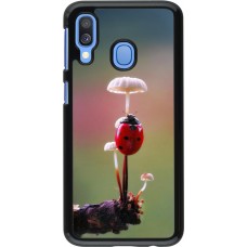 Coque Samsung Galaxy A40 - Ladybird on a mushroom Spring 2026