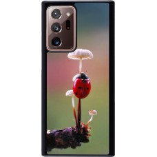 Samsung Galaxy Note 20 Ultra Case Hülle - Ladybird on a mushroom Spring 2026
