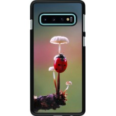 Samsung Galaxy S10 Case Hülle - Ladybird on a mushroom Spring 2026