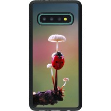 Samsung Galaxy S10 Case Hülle - Silikon schwarz Ladybird on a mushroom Spring 2026