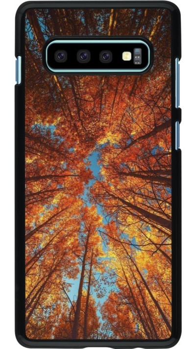 Samsung Galaxy S10+ Case Hülle - Autumn 25 Trees