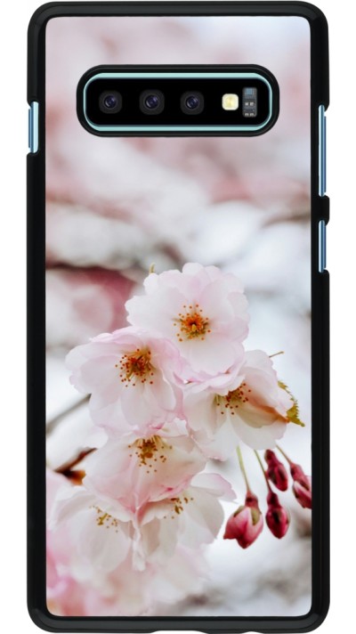 Samsung Galaxy S10+ Case Hülle - Cherry tree 2026