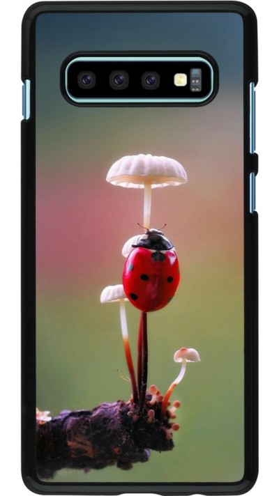 Samsung Galaxy S10+ Case Hülle - Ladybird on a mushroom 2026