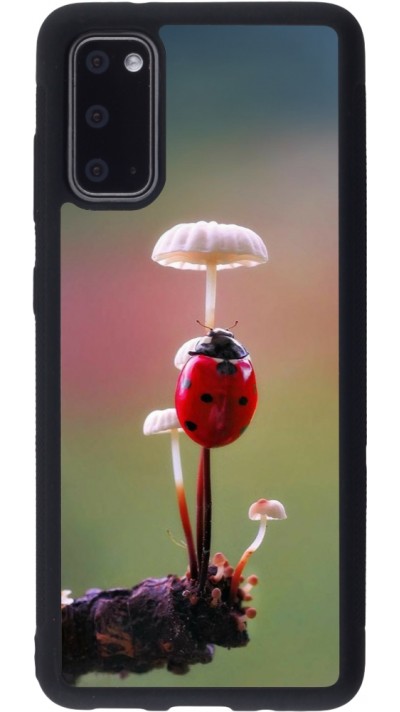 Samsung Galaxy S20 Case Hülle - Silikon schwarz Ladybird on a mushroom 2026