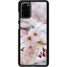 Samsung Galaxy S20+ Case Hülle - Cherry tree 2026