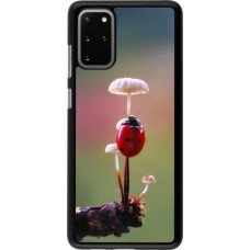 Samsung Galaxy S20+ Case Hülle - Ladybird on a mushroom 2026