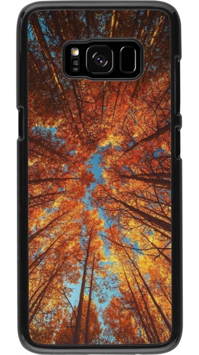 Samsung Galaxy S8 Case Hülle - Autumn 25 Trees