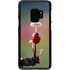 Samsung Galaxy S9 Case Hülle - Ladybird on a mushroom 2026