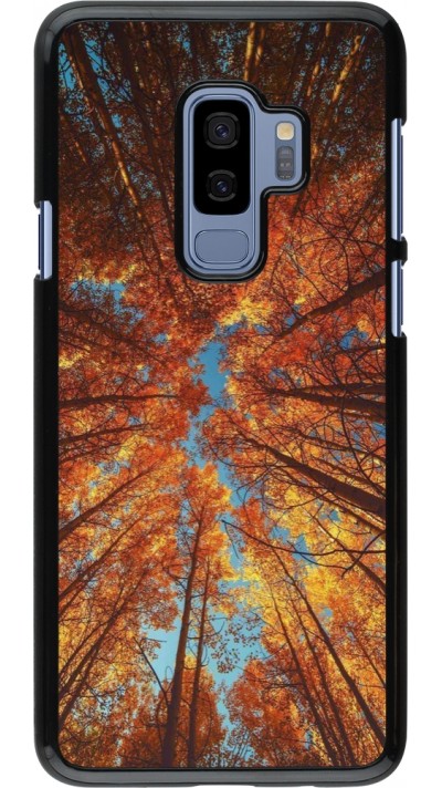 Samsung Galaxy S9+ Case Hülle - Autumn 25 Trees