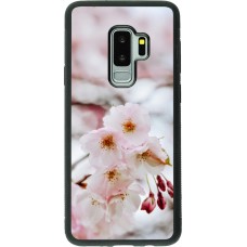 Coque Samsung Galaxy S9+ - Silicone rigide noir Cherry tree 2026