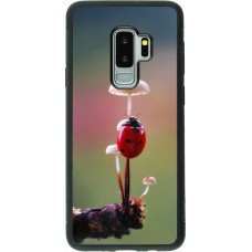 Coque Samsung Galaxy S9+ - Silicone rigide noir Ladybird on a mushroom 2026