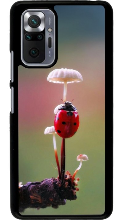 Xiaomi Redmi Note 10 Pro Case Hülle - Ladybird on a mushroom Spring 2026