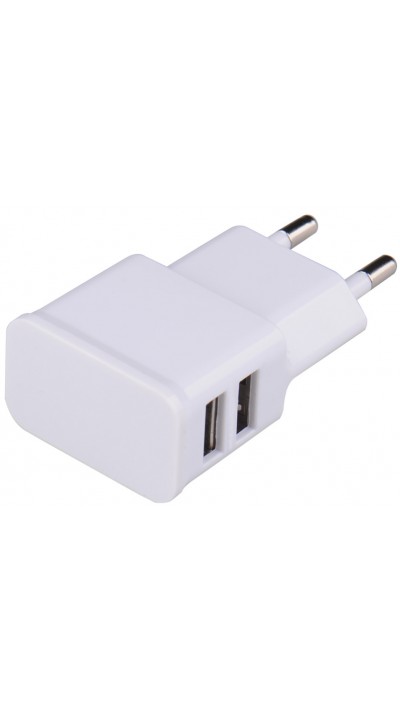 Dual USB Ladegerät-Adapter Sekt- Or