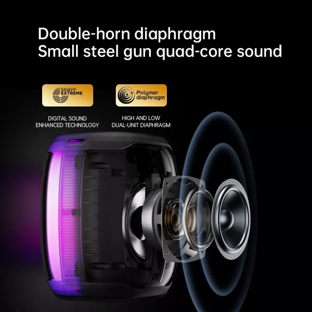 Bluetooth-Lautsprecher LED Leuchtender tragbarer kabelloser Sanag V12S Pro transparenter Kunststoffrückseite - Schwarz