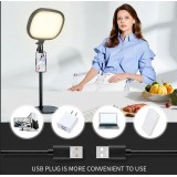 Studio Tisch-Selfie-Licht bi-color auf Standfuß für Videokonferenzen / Podcasts / YouTube Stream