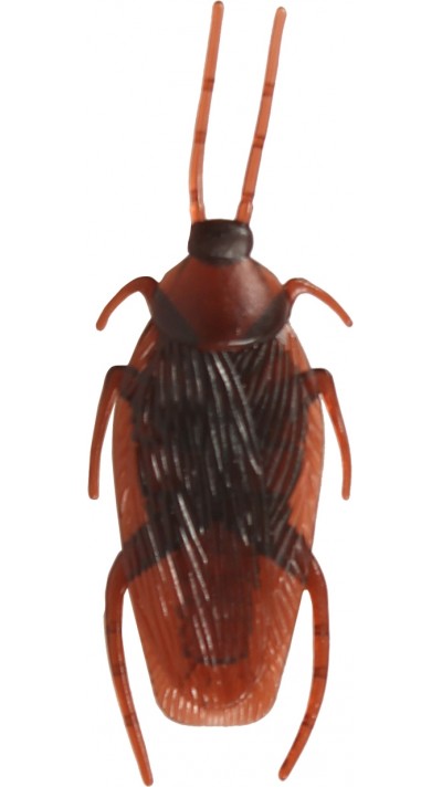 Realistischer brauner Kakerlaken-Kunststoff - Gruseliges Halloween-Insekt - Braun