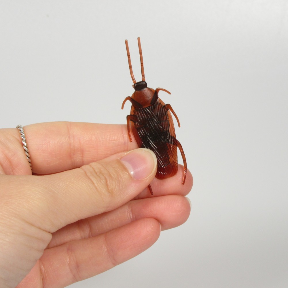 15er-Packung realistischer brauner Kakerlaken-Kunststoff - Gruseliges Halloween-Insekt - Braun