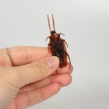 15er-Packung realistischer brauner Kakerlaken-Kunststoff - Gruseliges Halloween-Insekt - Braun