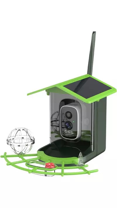 Intelligenter Vogelhaus 1296p WiFi mit Solar-Kamera, Bewegungsmelder und App-Steuerung - Grün