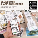 X6 Mini imprimante portable thermique Bluetooth sans encre avec papier et autocollants - Bleu
